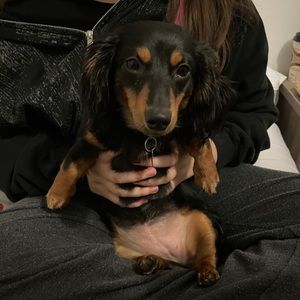 Meet your Posher, Audrey